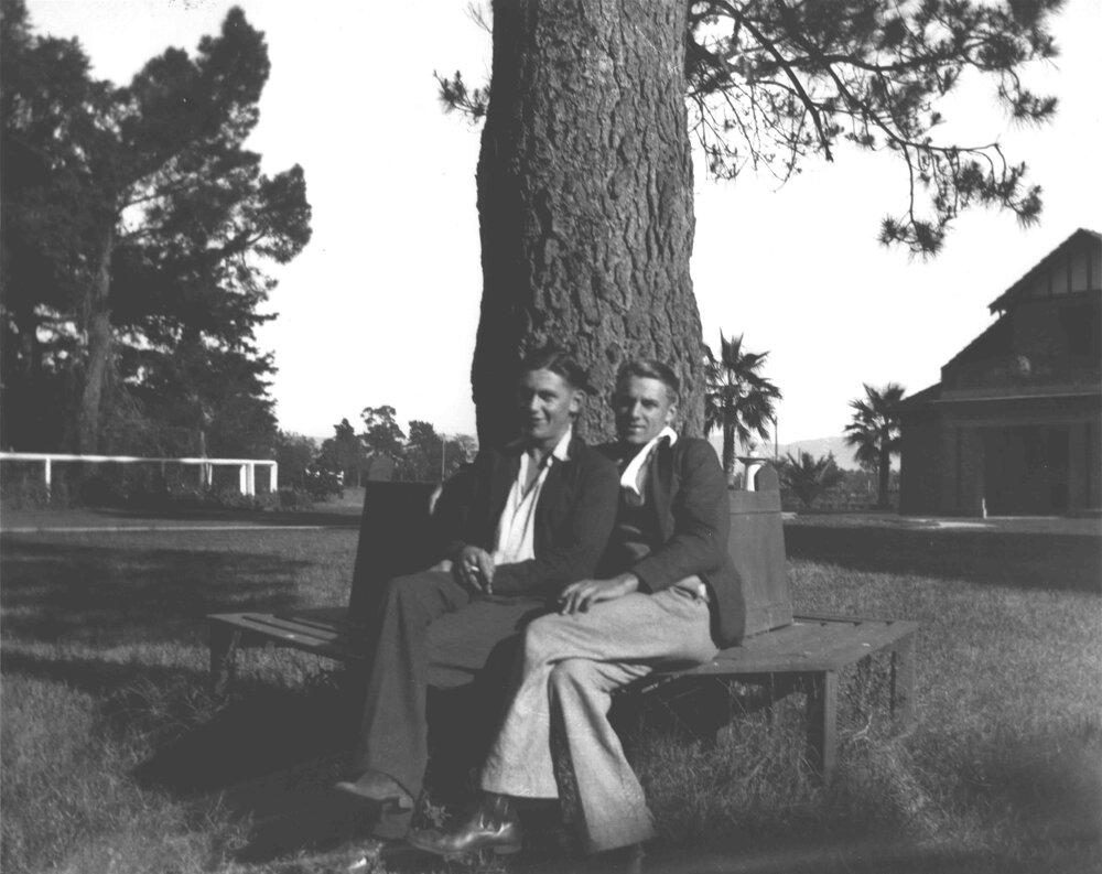 Memorial Hall - Two students seated on a bench under a pine tree [Hawkesbury Agricultural College (HAC)]