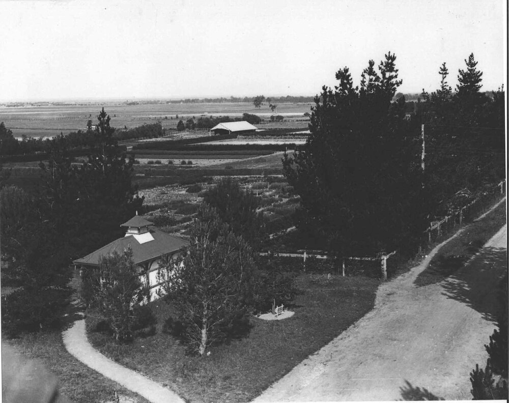 College grounds - taken from the tower of the Main Building looking towards Richmond [Hawkesbury Agricultural College (HAC)]