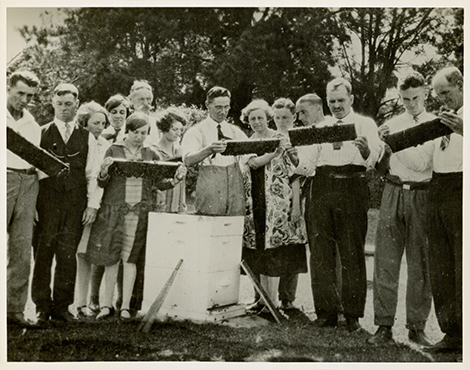 A group of Apiary students and instructor observing the honeycomb from a hive [Hawkesbury Agricultural College (HAC)] - Print 1 of 2 - Cropped