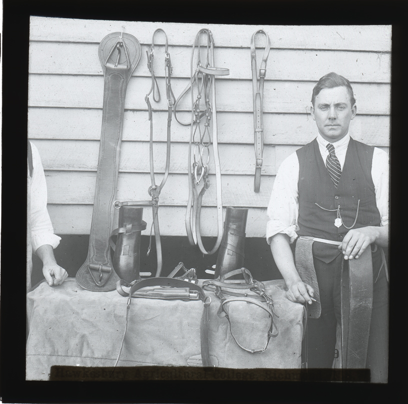 Mr Patrick with leatherwork [Hawkesbury Agricultural College (HAC)]
