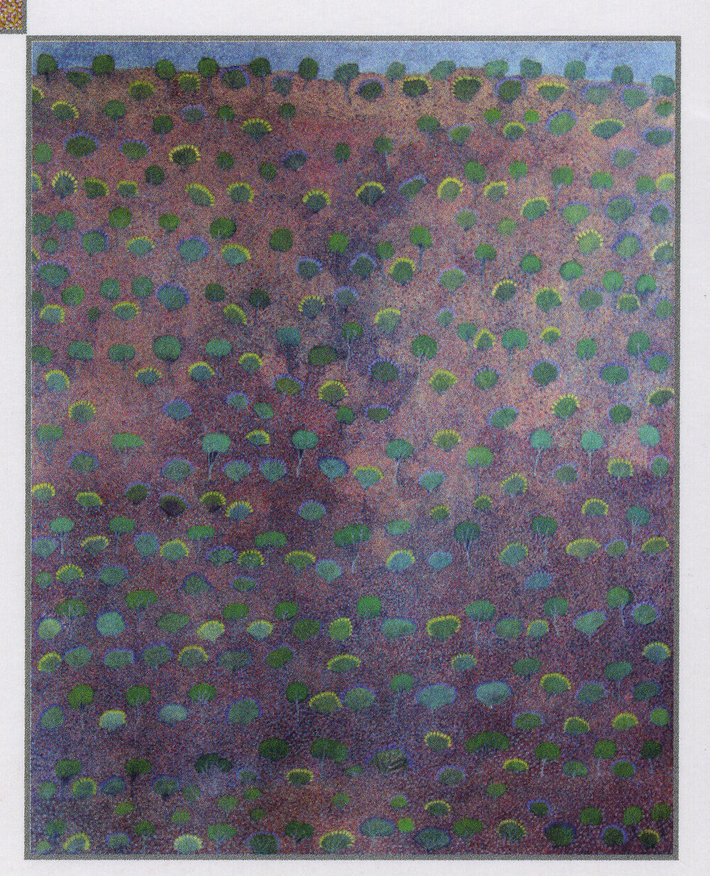 Bush Medicine Country