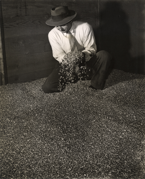 A man, well dressed (hat, tie, white shirt) inspecting wheat grains inside a silo [Hawkesbury Agricultural College (HAC)]