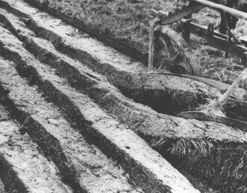 Close up of furrows of ploughed earth [Hawkesbury Agricultural College (HAC)]