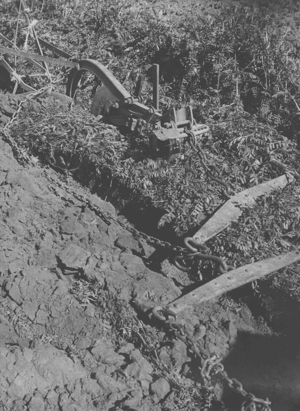 Close-up view of a plough [Hawkesbury Agricultural College (HAC)]