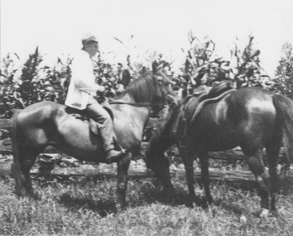 Mounted horseman in field next to another saddled horse [Hawkesbury Agricultural College (HAC)]