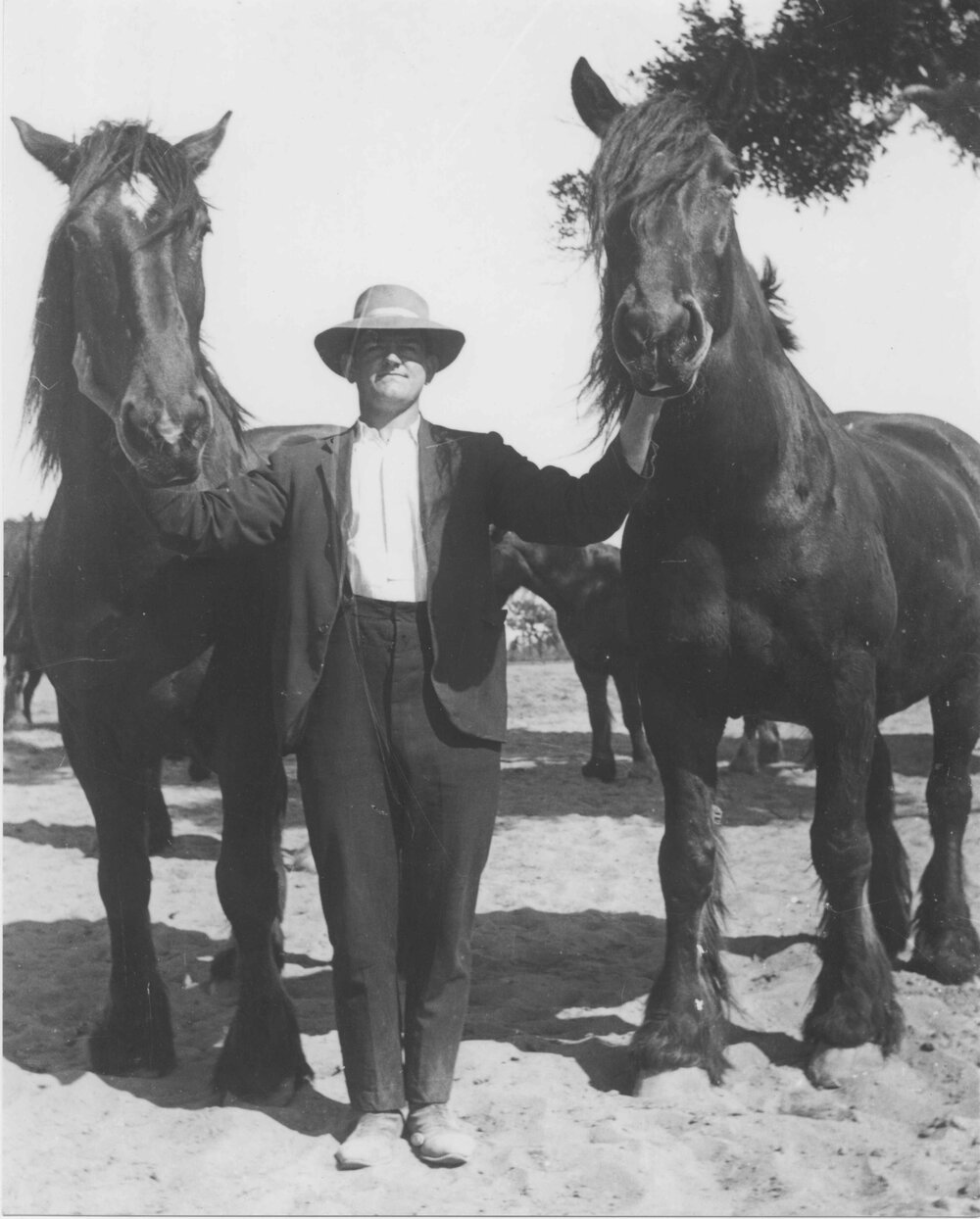 One man (student?) with two horses, standing [Hawkesbury Agricultural College (HAC)]