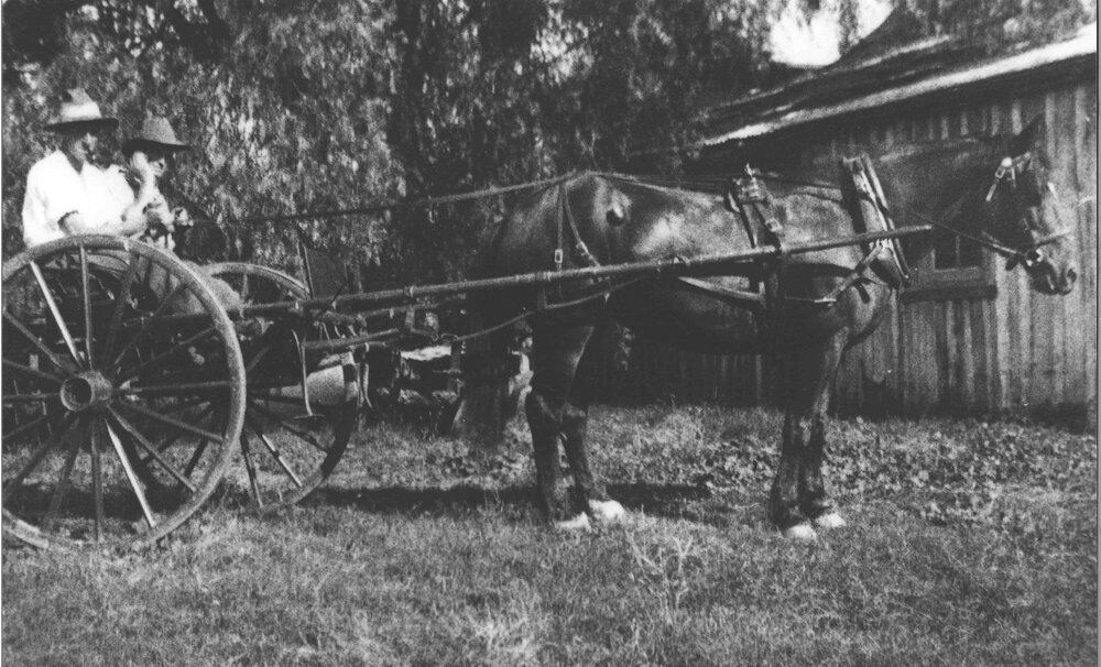Students seated in horse-drawn sulky [Hawkesbury Agricultural College (HAC)]