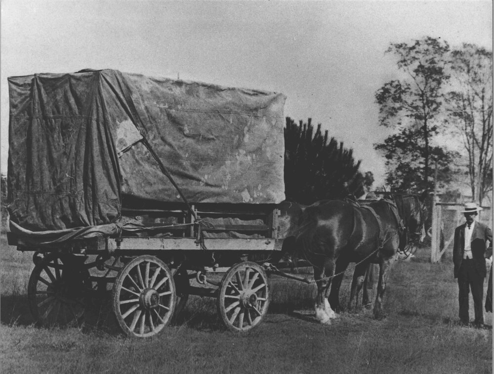 Loaded goods wagon hitched to two horses with a man standing nearby [Hawkesbury Agricultural College (HAC)]