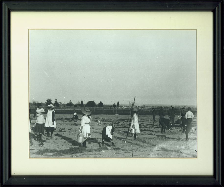 Children working in a garden area [Hawkesbury Agricultural College (HAC)]