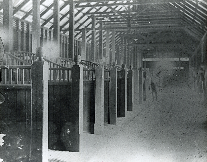 Interior scene in stables showing horse stalls (Print 1 of 2 - Cropped on right) [Hawkesbury Agricultural College (HAC)]