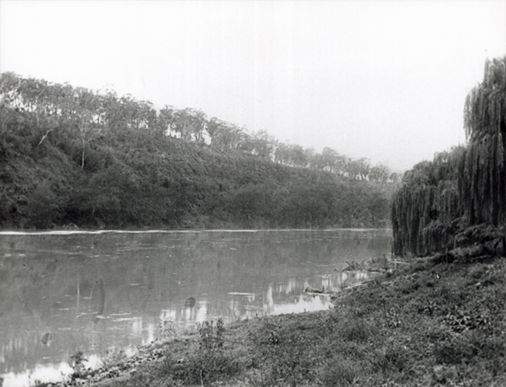 Hawkesbury River at River Farm (Cropped) [Hawkesbury Agricultural College (HAC)]