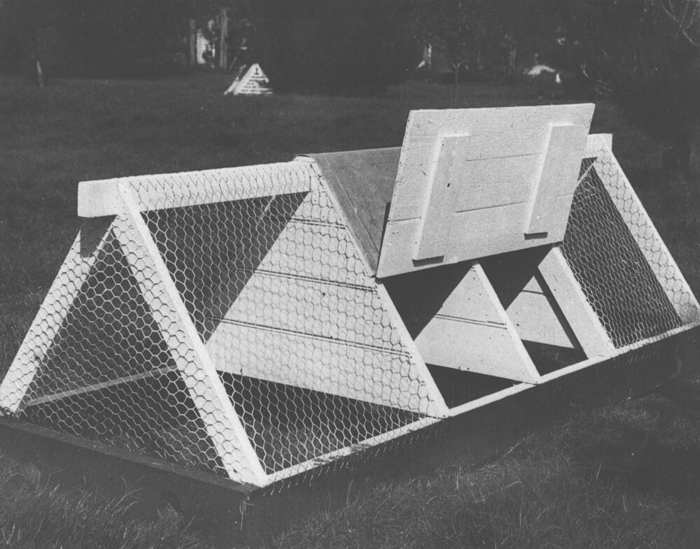 Cage for poultry, triangular in shape, using chicken wire [Hawkesbury Agricultural College (HAC)]