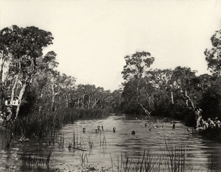 Students swimming in Rickaby's Creek which was on the Eastern side of the College [Hawkesbury Agricultural College (HAC)]
