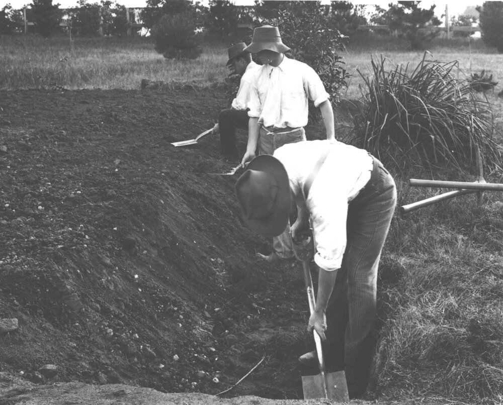 Students digging - trenching (2 of 2) Hawkesbury Agricultural College