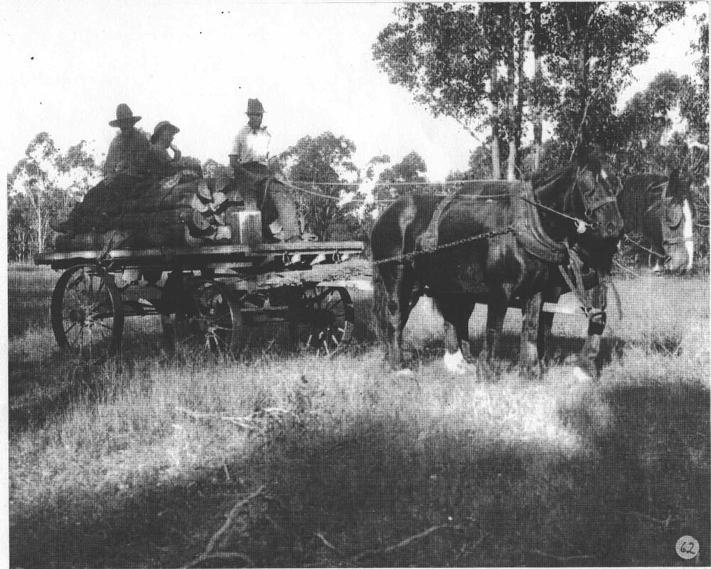 Three men sitting on logs of wood stacked on a wagon drawn by two horses [Hawkesbury Agricultural College (HAC)]