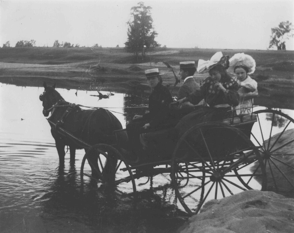 Two students in a horse and buggy in water (dam or river?) with two young ladies in the back [Hawkesbury Agricultural College (HAC)]