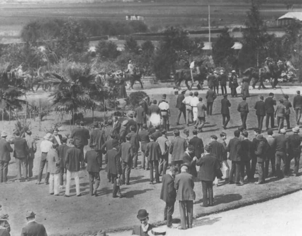 Fairy Circle - Crowd of people with students(?) riding horses on the drive [Hawkesbury Agricultural College (HAC)]