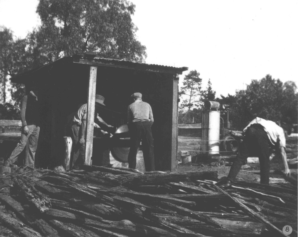 Sawmill - Sawing timber (for firewood) [Hawkesbury Agricultural College (HAC)]