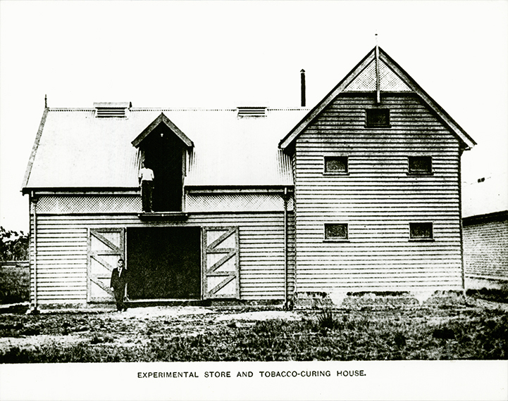 Experimental store and tobacco curing house [Hawkesbury Agricultural College (HAC)]