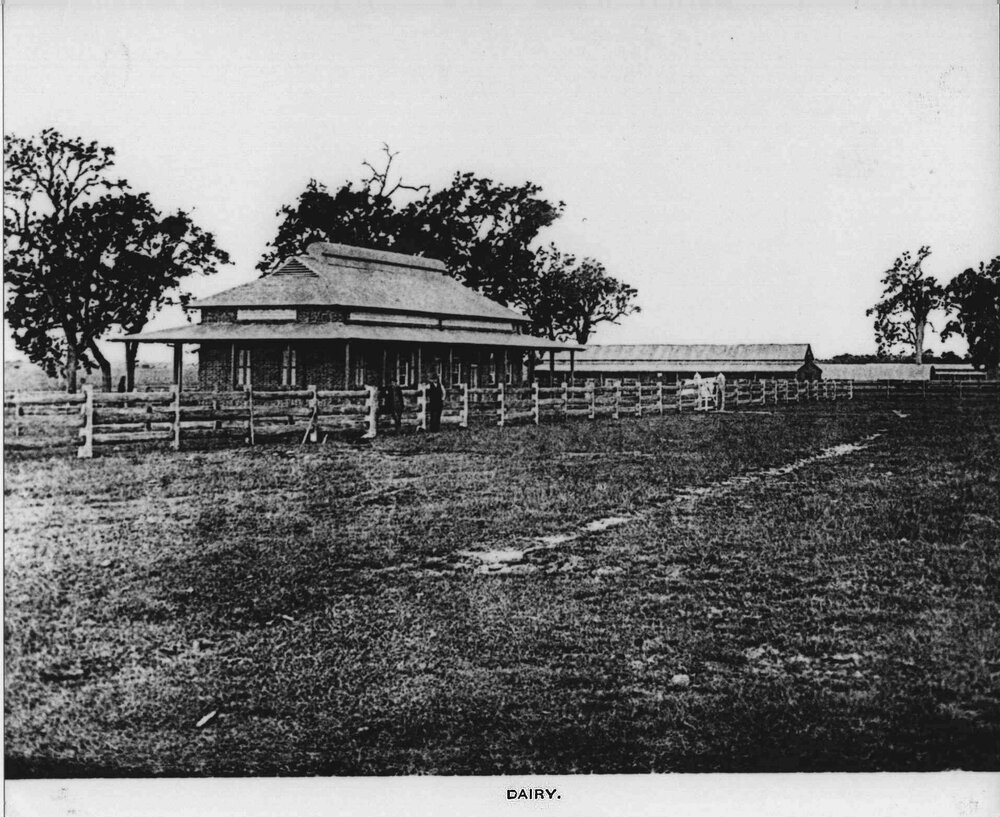 Dairy Factory (exterior) - Original building [Hawkesbury Agricultural College (HAC)]