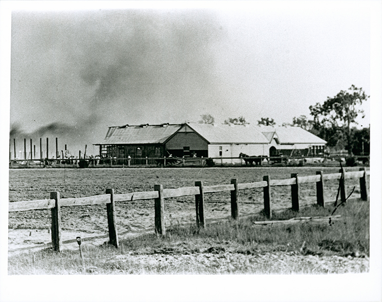 Stables burning at HAC, April 1896 [Hawkesbury Agricultural College (HAC)] - Print 2 of 2 - Cropped