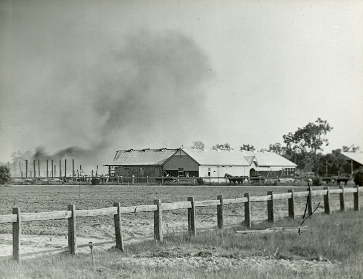 Stables burning at HAC, April 1896 [Hawkesbury Agricultural College (HAC)] - Print 1 of 2 - Uncropped