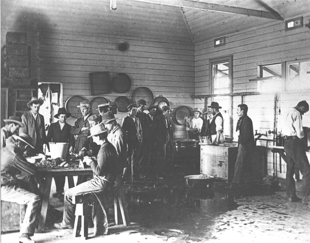 Preserving Shed (interior) - Students at work sorting grapes [Hawkesbury Agricultural College (HAC)]