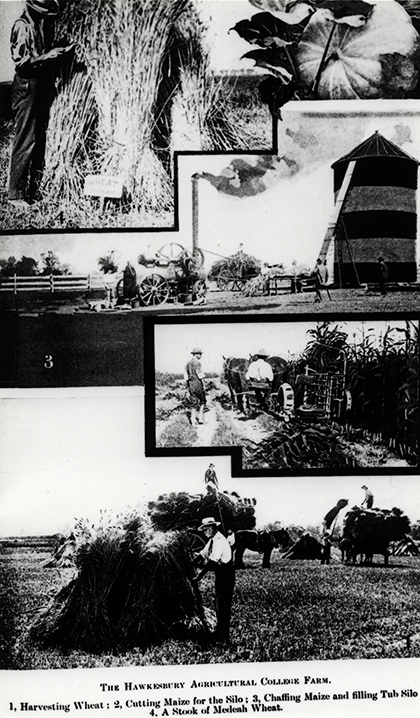 A composite photo of four farm scenes [Hawkesbury Agricultural College (HAC)]