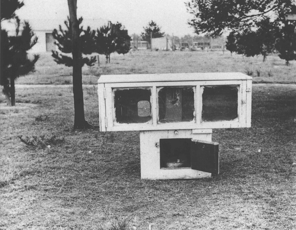 Poultry - Egg laying boxes [Hawkesbury Agricultural College (HAC)]