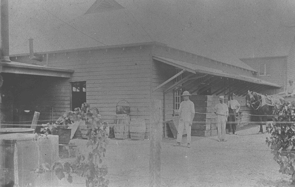 Cannery and Packing Shed (exterior) - various barrels and crates near the building [Hawkesbury Agricultural College (HAC)]