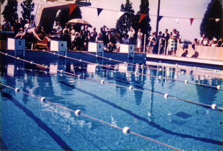 Olympic Swimming Pool - Opening (print 17 of 18) - Andrew 'Boy' Charlton (ex-student) taking the first official swim [Hawkesbury Agricultural College (HAC)]