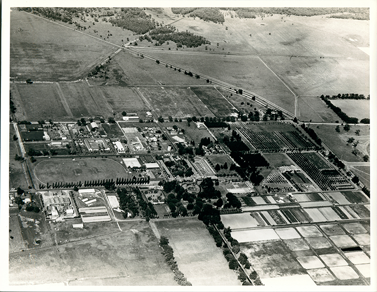 Aerial photograph - Main College from North [Hawkesbury Agricultural College (HAC)]