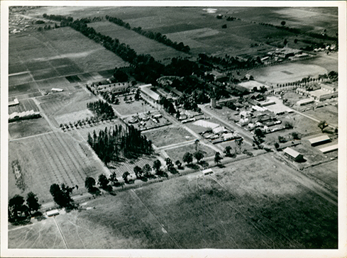 Aerial photograph of the College from South - Memorial Library but no new swimming pool [Hawkesbury Agricultural College (HAC)]