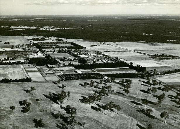 Overview of College from West - Memorial Library but no new swimming pool [Hawkesbury Agricultural College (HAC)] - Print 2 of 2
