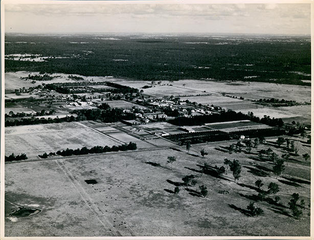 Overview of College from West - Memorial Library but no new swimming pool [Hawkesbury Agricultural College (HAC)] - Print 1 of 2