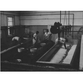 Dairy Factory (interior): Cheese making [Hawkesbury Agricultural College (HAC)]