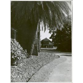 Memorial Hall from the Western Tower of the Main Administration Block [Hawkesbury Agricultural College (HAC)]