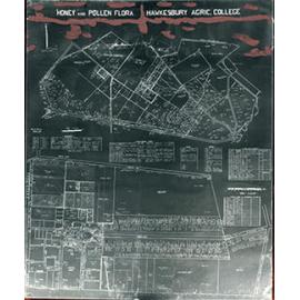 Honey & pollen flora map (negative/microfiche) [Hawkesbury Agricultural College (HAC)]