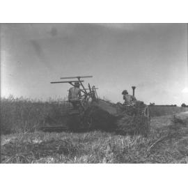 Student driving a tractor pulling a harvester - another student seated on the harvester [Hawkesbury Agricultural College (HAC)]