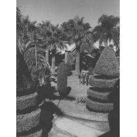 Quadrangle - Dining Hall with topiary trees in front [Hawkesbury Agricultural College (HAC)]