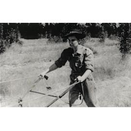 Women's Land Army: Faming activities (print 01 of 12) - Doris Pitty ploughing [Hawkesbury Agricultural College (HAC)]
