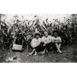 Women's Land Army: Faming activities (print 04 of 12) - Three women seated in front of a field of corn [Hawkesbury Agricultural College (HAC)]