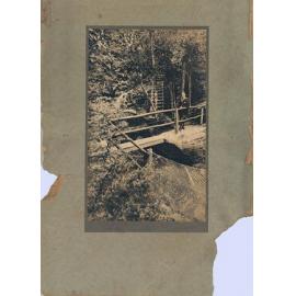 Charles Hindmarsh on a bush track in the Blue Mountains