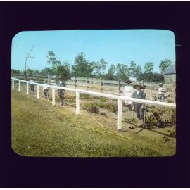 Children working in vegetable garden [Hawkesbury Agricultural College (HAC)]