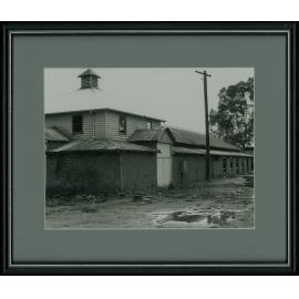 Dairy Bails - Milking shed exterior [Hawkesbury Agricultural College (HAC)]