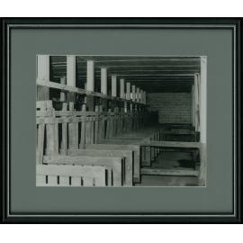 Dairy Bails (interior) - Milking stalls [Hawkesbury Agricultural College (HAC)]