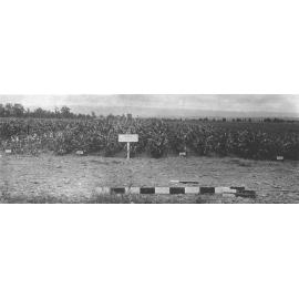 Experimental Plots: Field of plants [Hawkesbury Agricultural College (HAC)]
