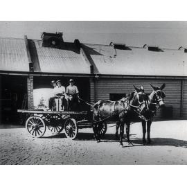 Flat-bed wagon drawn by a two-mule team - three students are sitting on a box on the wagon [Hawkesbury Agricultural College (HAC)]
