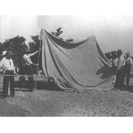 Fumigating trees in orchard for scale insects using strychnine [Hawkesbury Agricultural College (HAC)]