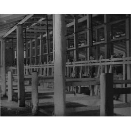 Inside stanchion cow bails - machine milking [Hawkesbury Agricultural College (HAC)]